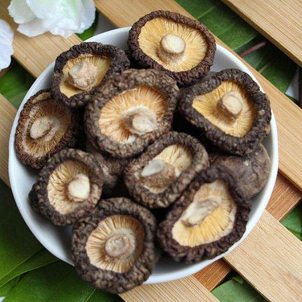 为食用菌香菇与农业生产脱水烘干机烤箱用户提供方便
