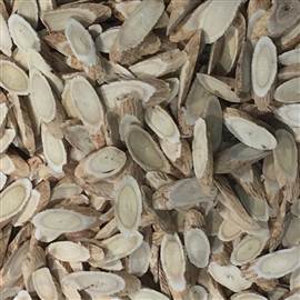 黄芪烘干工艺流程与操作要点：根茎类药材分段控温干燥全解析